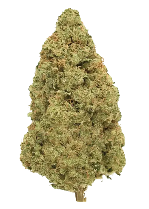 Harambe OG