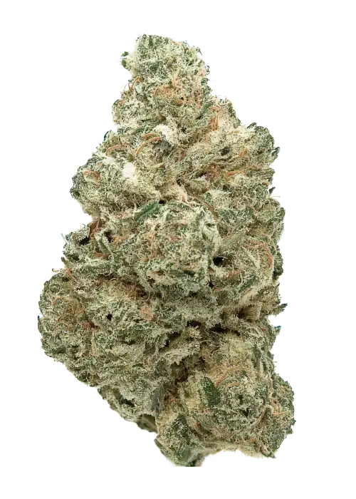 Stink Bomb
