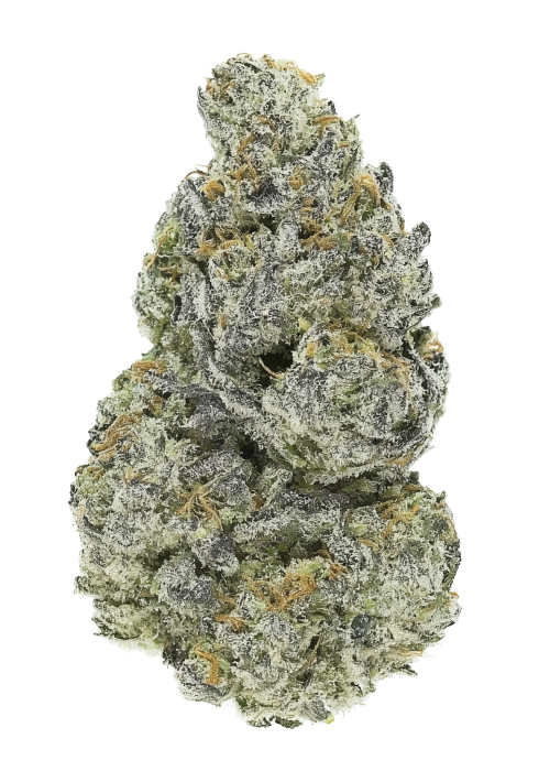 Lemon Amnesia