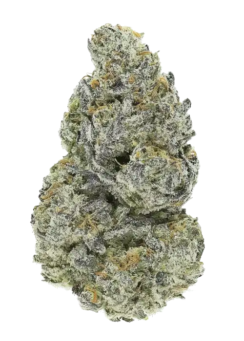 Lemon Amnesia Cannabis Strain Information - GrowDiaries