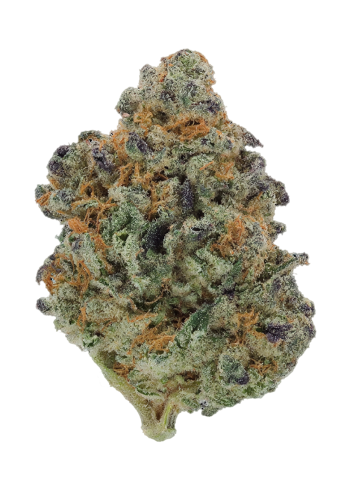Super Lemon Dawg