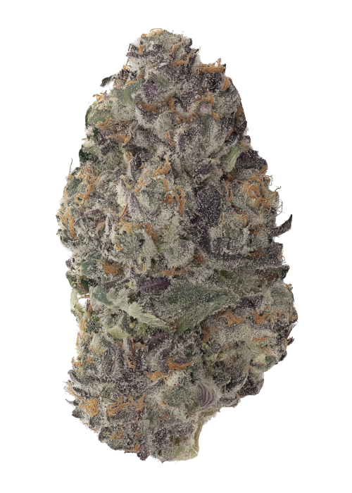 Blueberry Buzzana