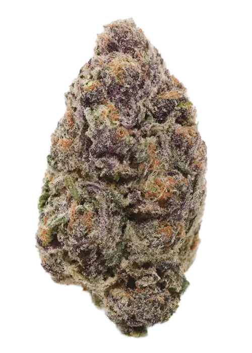 Planet Sherb