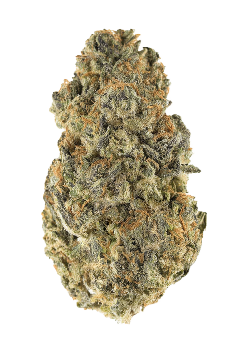 Papaya Popz