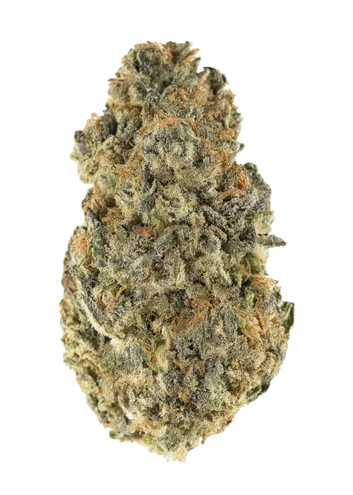 Papaya Popz