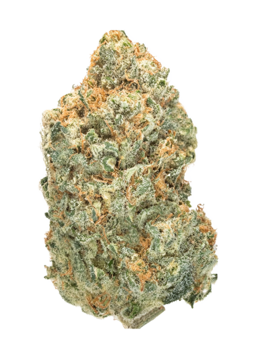 Honey Popz