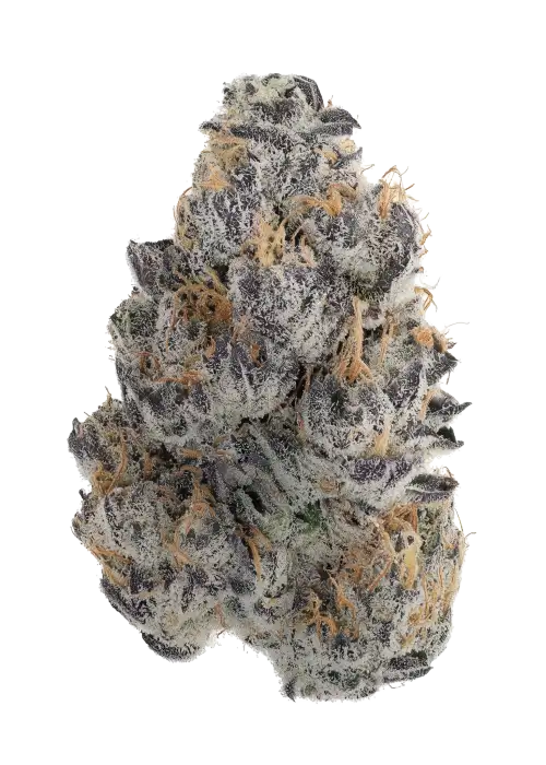 Red Tropicana Cookies