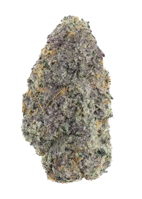 Sherpa