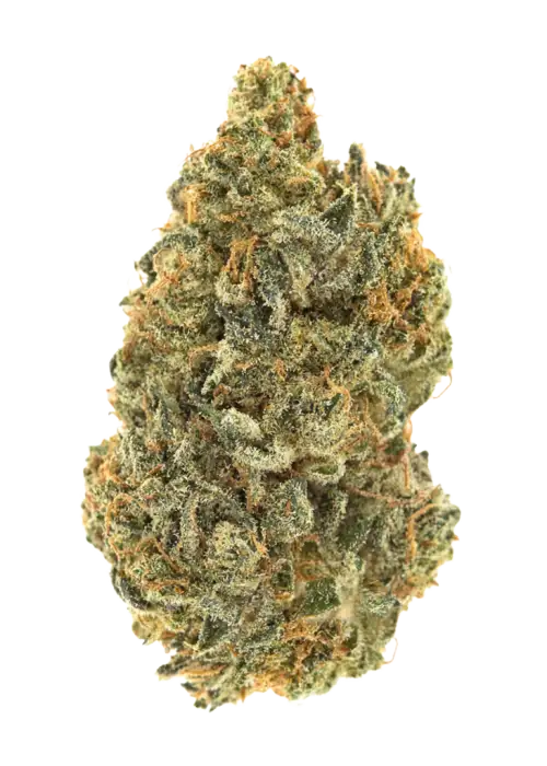 Lemon Banana Odder Popz