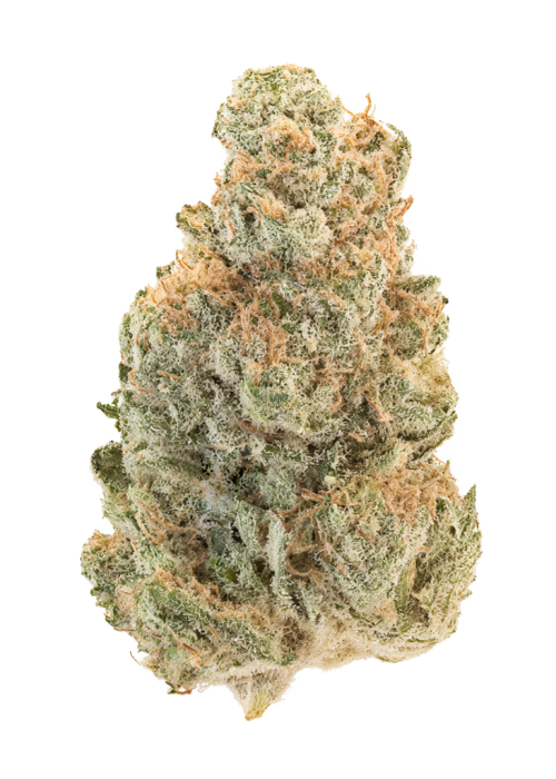 Juicy
