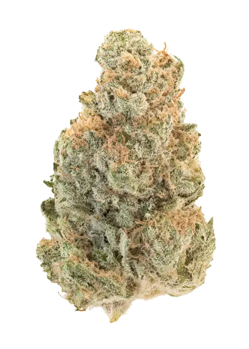 Juicy