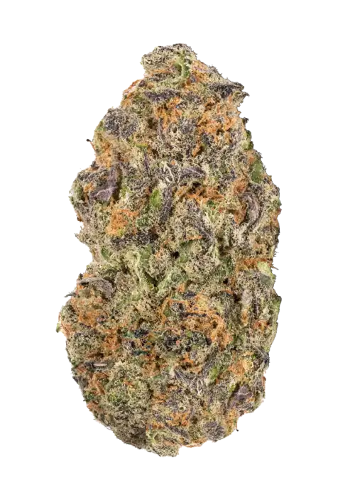 Triangle OZ
