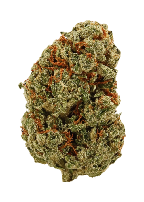 Wizard OG