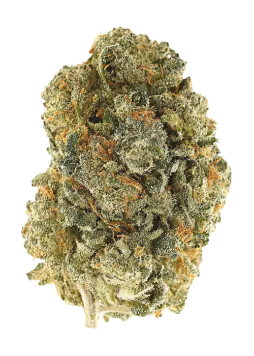 Lemon Beltz