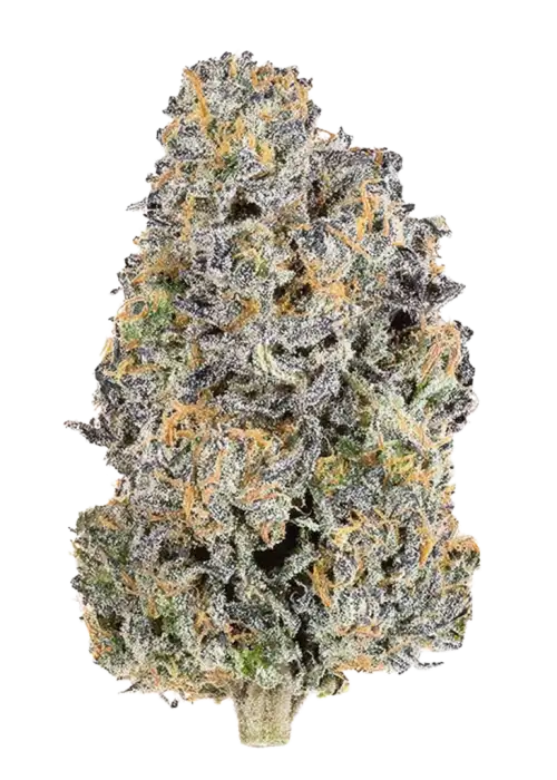 Lemon Whhip Haze
