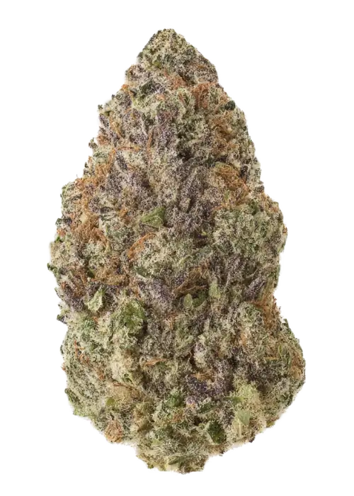 Cherry Goddess