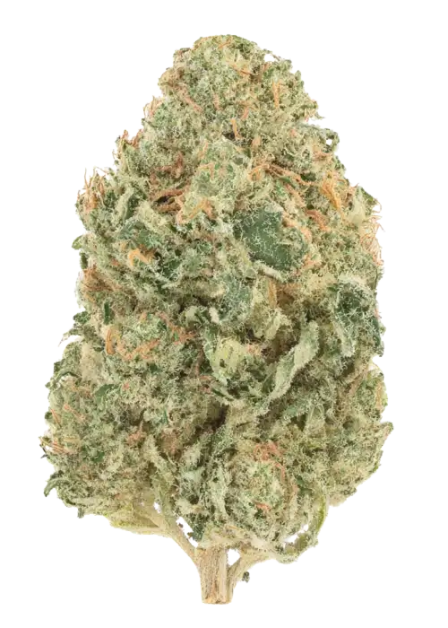 Tasty Trees