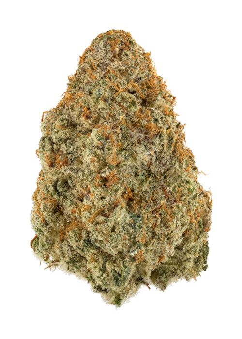 Oro Blanco by Archive Seed Bank