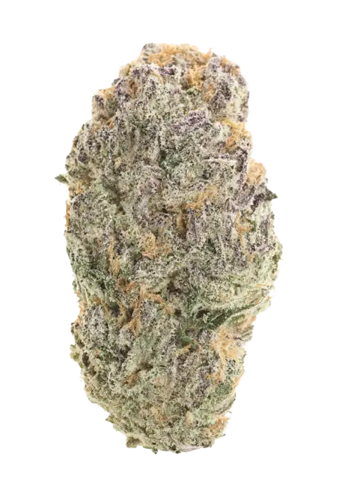 Royal Oak