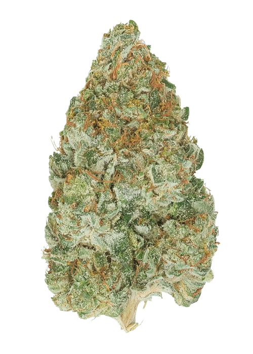 Northern Lights #4