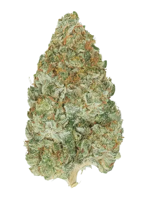 Northern Lights #4