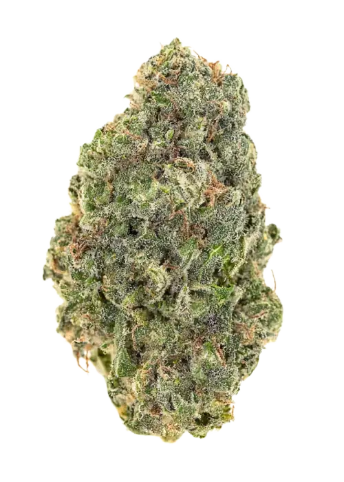 Grapefruit Runtz