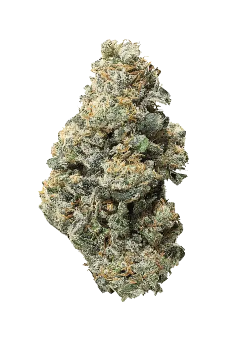 Notorious THC
