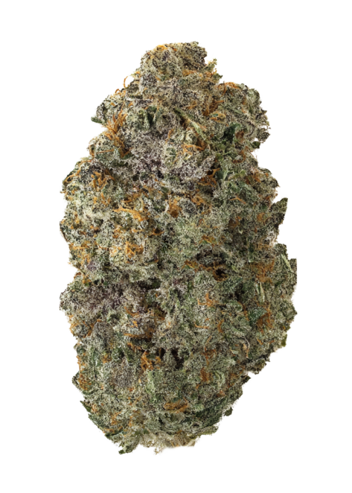 Buddha Melt