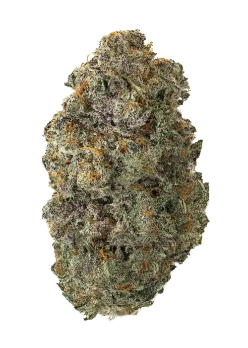 Buddha Melt