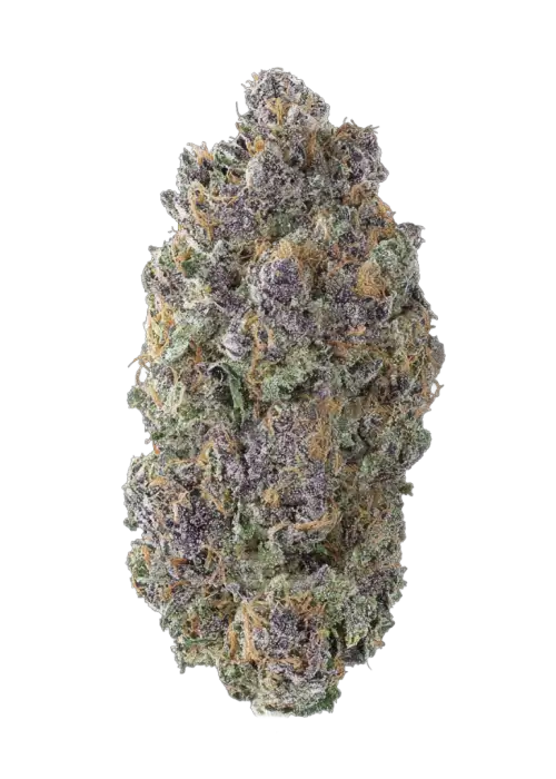 Orango