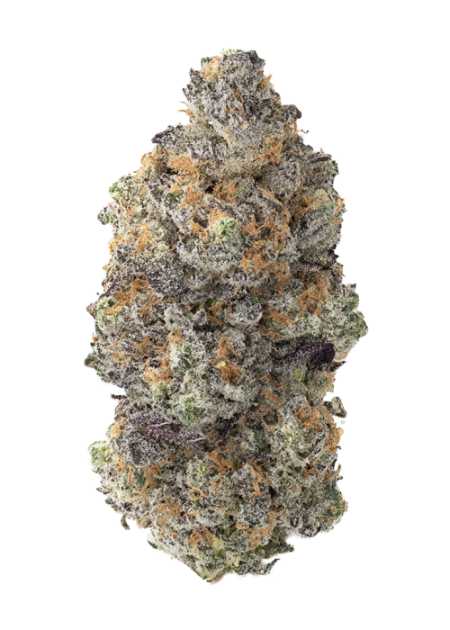 Ooz by Oakland Seed Co