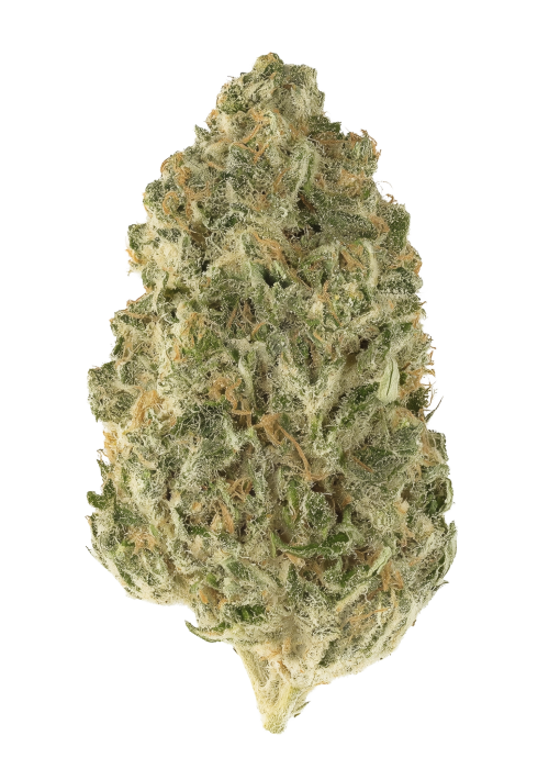 Cherry Pie Zlushiez