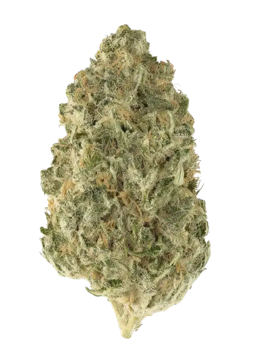 Cherry Pie Zlushiez