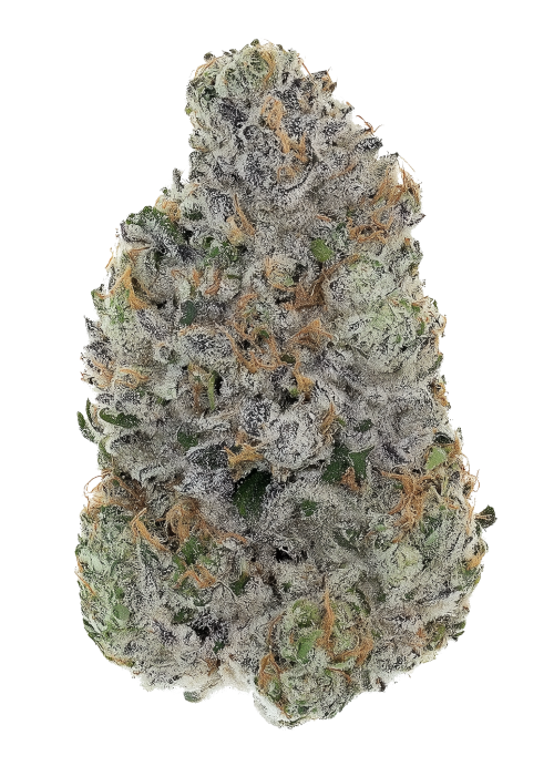 Phinest Cap City Kush