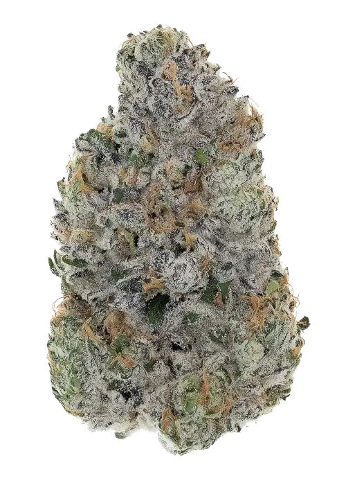 Phinest Cap City Kush