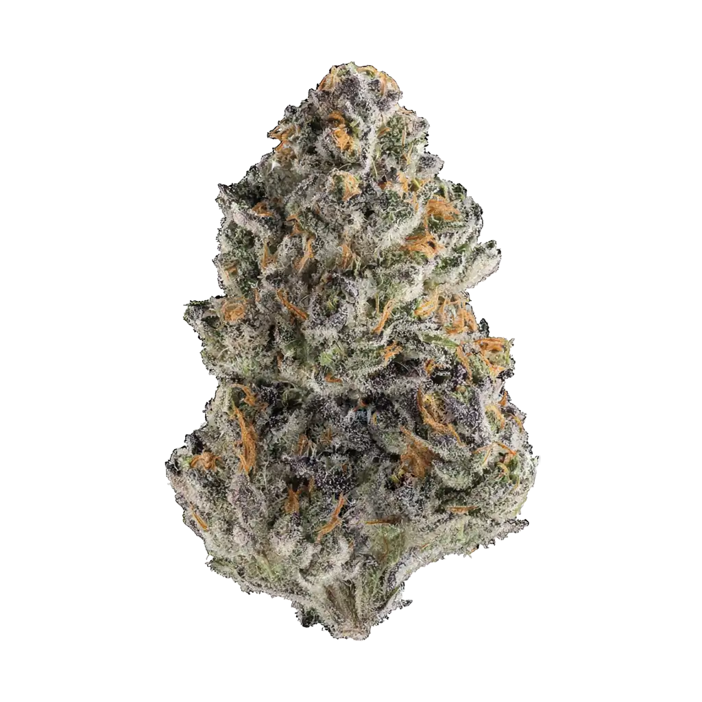 Zorroz v2 Cannabis Strain Information - GrowDiaries