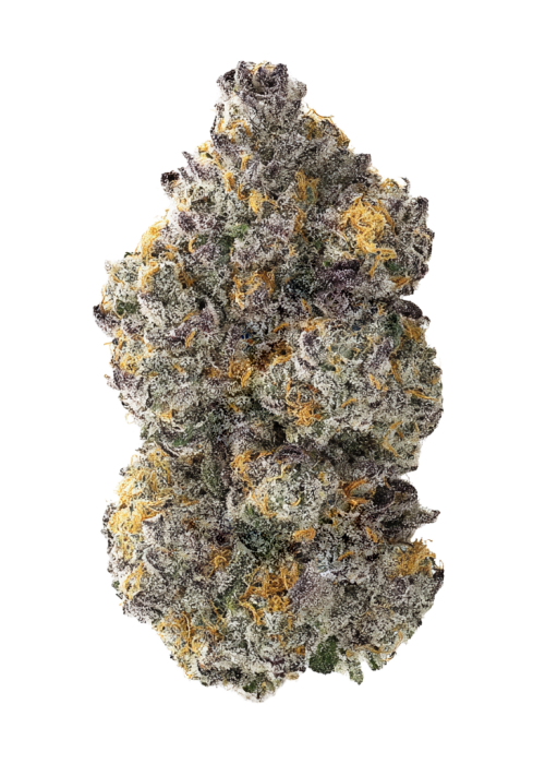 Cosmic Cheddar F1