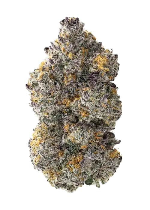 Cosmic Cheddar F1