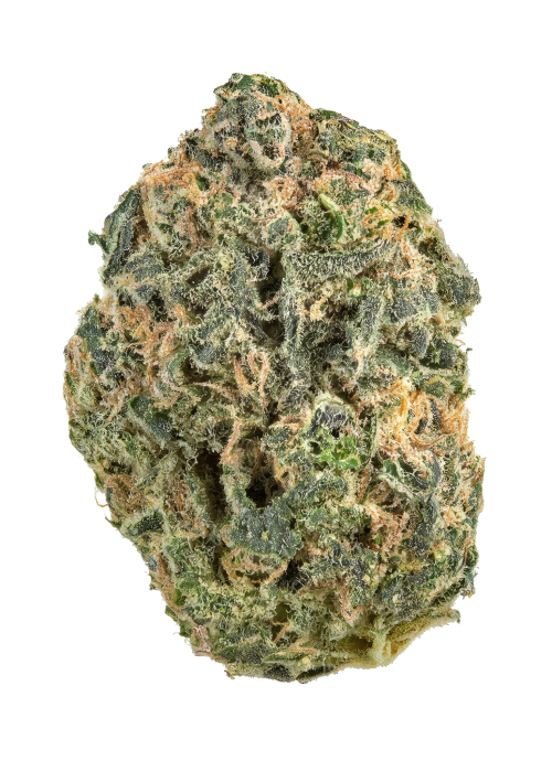 Astro Lemonade F1