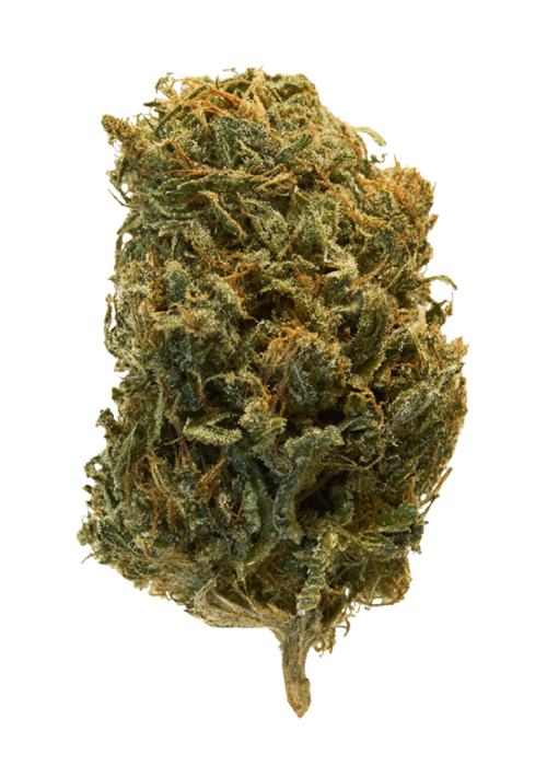 Red Dragon