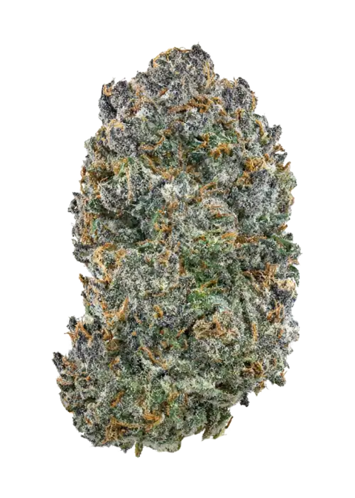 Dosi-Tree