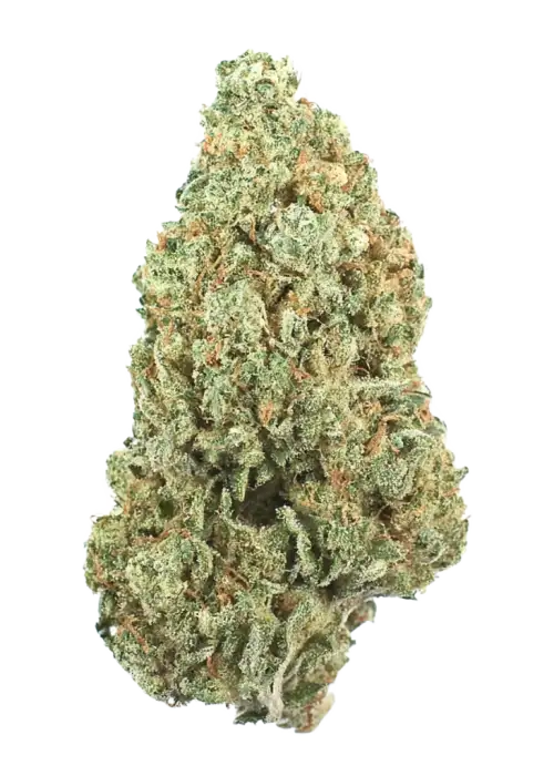Lem OG Bx
