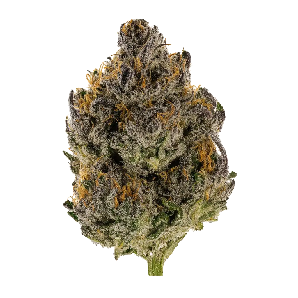 7039-cosmic-pie.webp