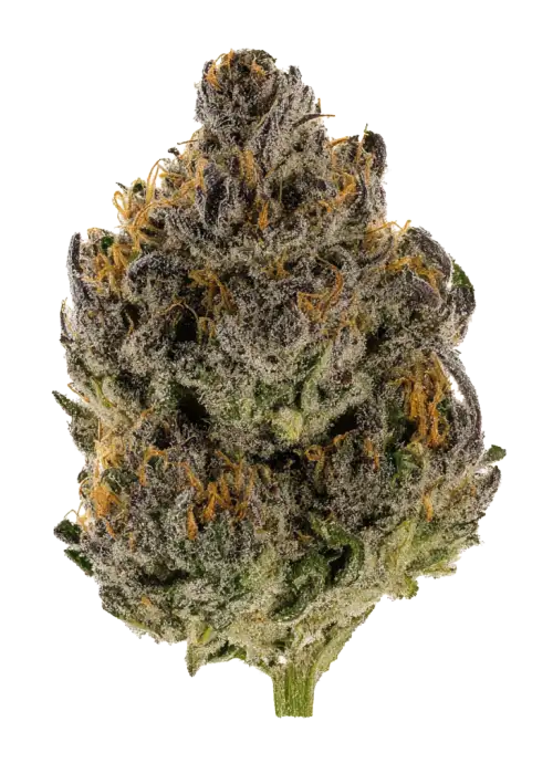 Cosmic Pie