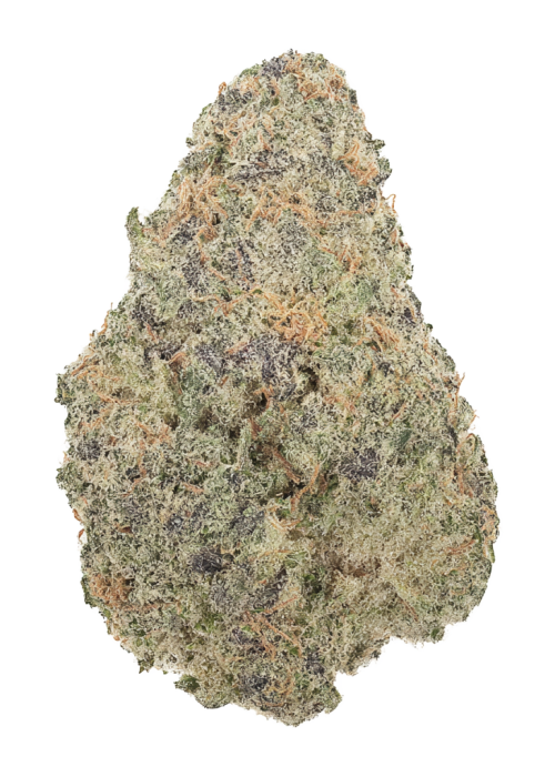 Alpine Ape