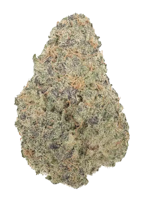 Alpine Ape