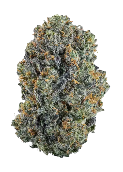 Island Cookies