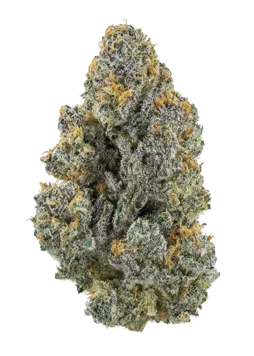Tropic Honeyglue