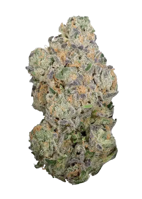 Glitter Glue