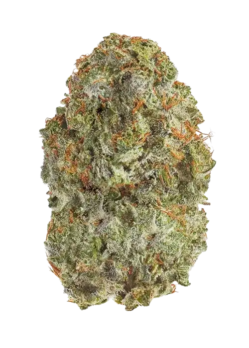 Sherbert Gas